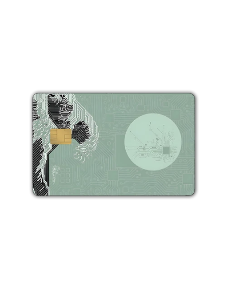 Card Skin
